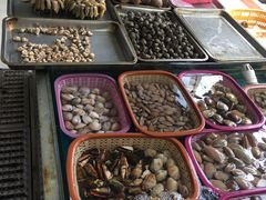 -板桥海鲜广场(文明东店)