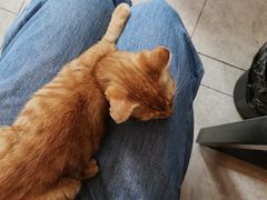 -螺大蛳柳州螺蛳粉·火锅·热干面(西城永捷店)