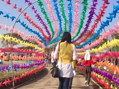 -上海都市菜园