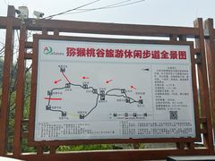 -大岭沟猕猴桃谷风景区