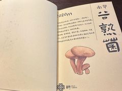 -滇野云南野生菌餐厅(陕西南路店)