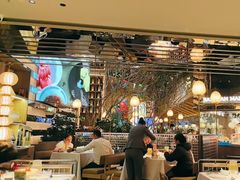 -桂满陇·海市蜃楼·黑金(国金店)