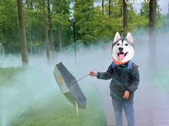 -黄海国家森林公园