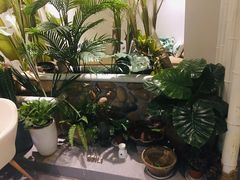 -北里·4k影院式足疗SPA馆(观音桥店)