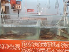 -赵大妖·活鱼现烤(天水店)