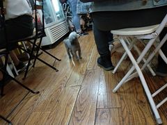 -志龙皇冠吃货椰子铺