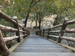 -北京凤凰岭