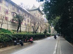-武汉大学-樱园