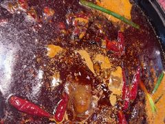 -五里关火锅(牛市口店)