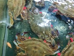 -阿马蛋汤·宁波小海鲜(总店)