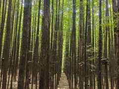 -山王坪喀斯特国家生态公园