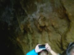 -怀托摩萤火虫洞