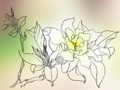 -八哥美术·成人美术画室(总校区)