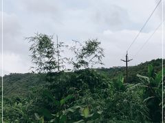 -帆荣农庄