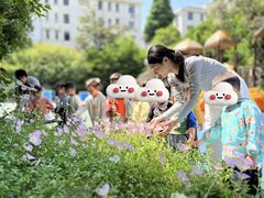 -泰宁田林幼儿园