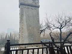 -团结湖公园