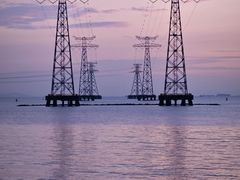 -宝安西湾红树林湿地公园