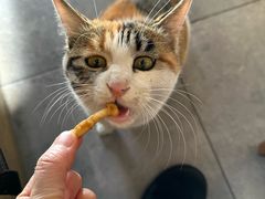 -后海16号·北京私房菜