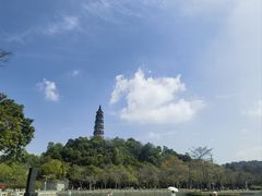 -顺峰山公园