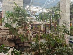 -森谷美食公园(杨行店)