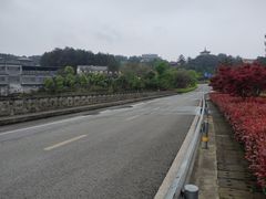 -铁山坪森林公园