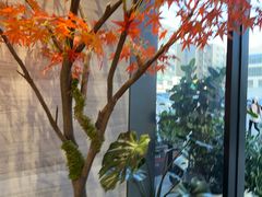 -唐宫足道·SPA·住宿24H会所(木渎店)