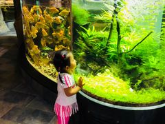 -迪拜水族馆及水下动物园