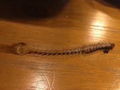 -金陵夜猫子私房菜(茂业天地店)