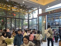 -周大娘牛乳(旧寨古村总店)