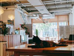 大堂-栖咖啡(泉舜店)