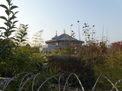 -隋唐洛阳城明堂天堂景区