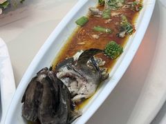 游龙蒸深海石斑鱼-蘇锦宴·淮扬菜烤鸭·小院(三元桥霄云路店)