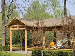 -元大都城垣遗址公园