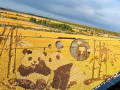 -稻梦空间冰雪小镇