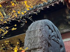 -洛阳白马寺