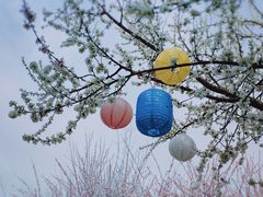 -三里河公园