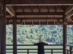-后柳水乡