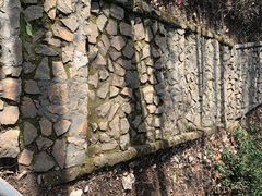 -上海佘山国家森林公园天马山园