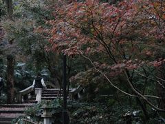 -灵隐飞来峰景区