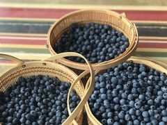 -金谷域澳洲庄园