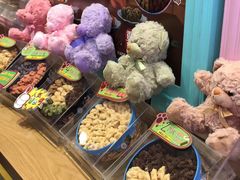 -珍妮曲奇聪明小熊(尖沙咀店)