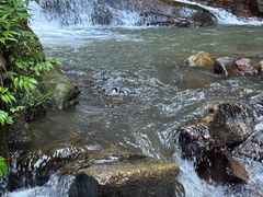 -梅岭神龙潭