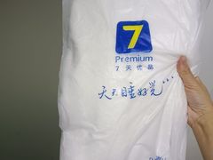 -7天酒店(长沙岳麓山阜埠河地铁站店)