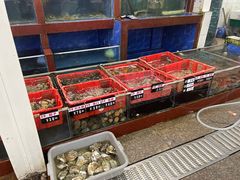 水产区-鹏城人家海鲜酒家·23年老字号(较场尾店)