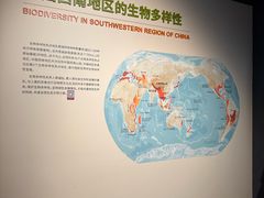 -四川大学博物馆