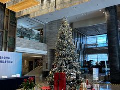 -徐州博顿温德姆酒店(高铁东站店)