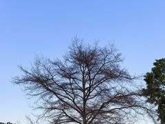 -牛岗山公园