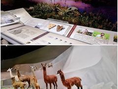 -武汉园博园(武汉自然博物馆)