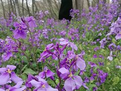 -白塘生态植物园