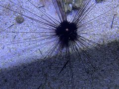 -江和美海洋公园